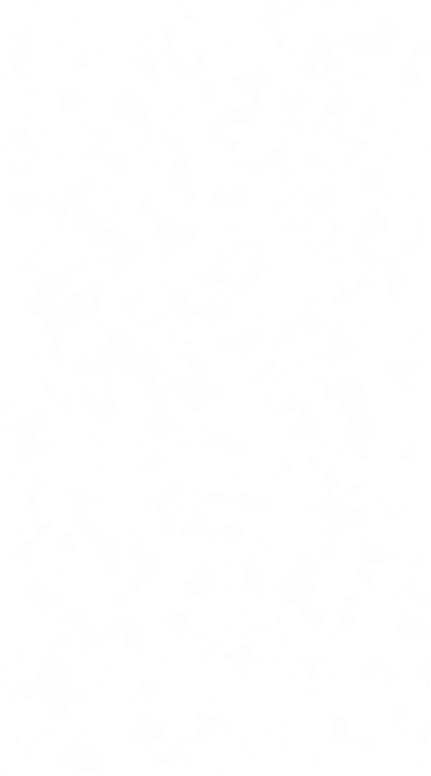 CLOTHING SWAP - Layer 2