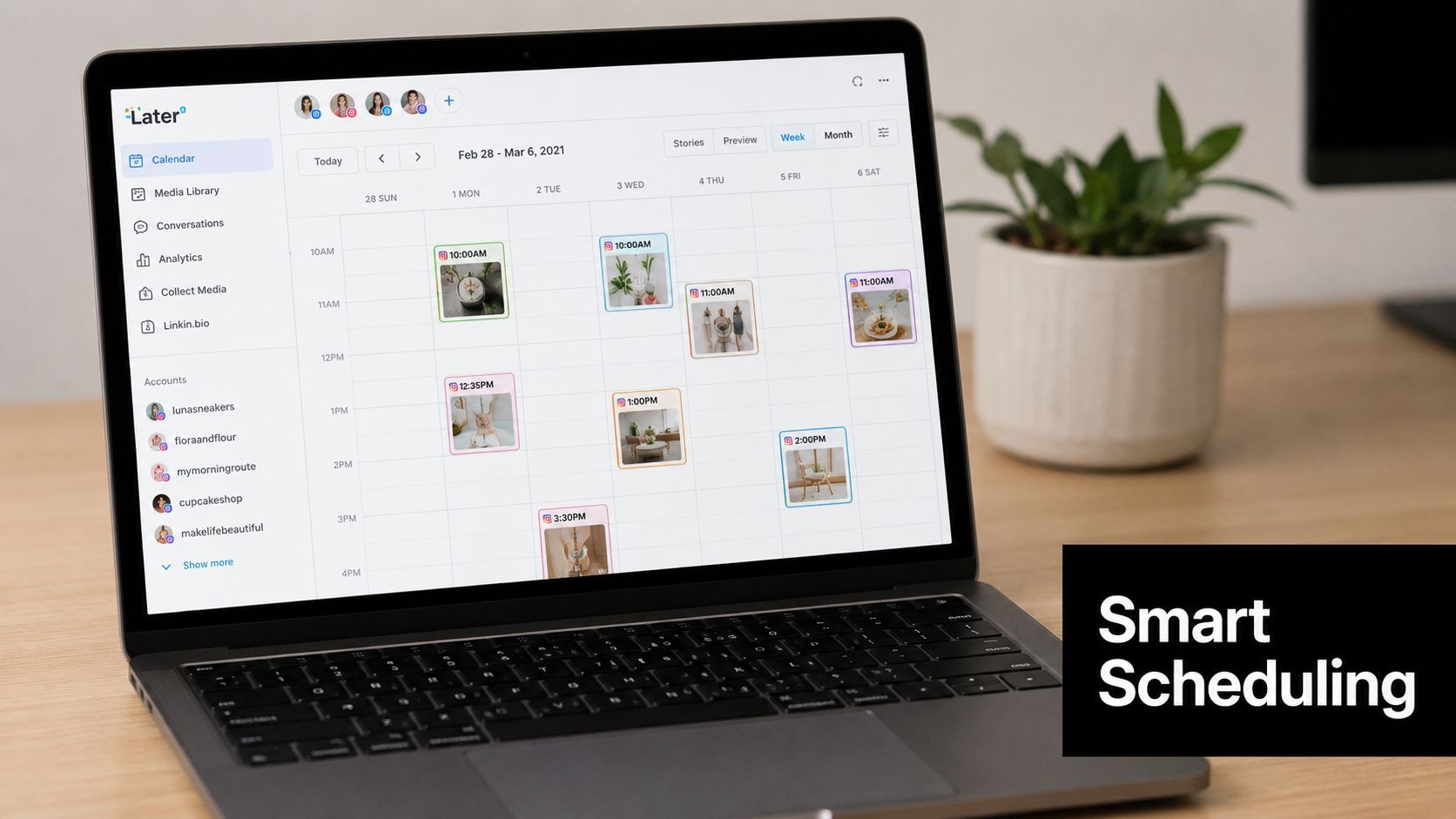 A laptop screen showing the Later social media scheduling platform with a calendar view of posts.