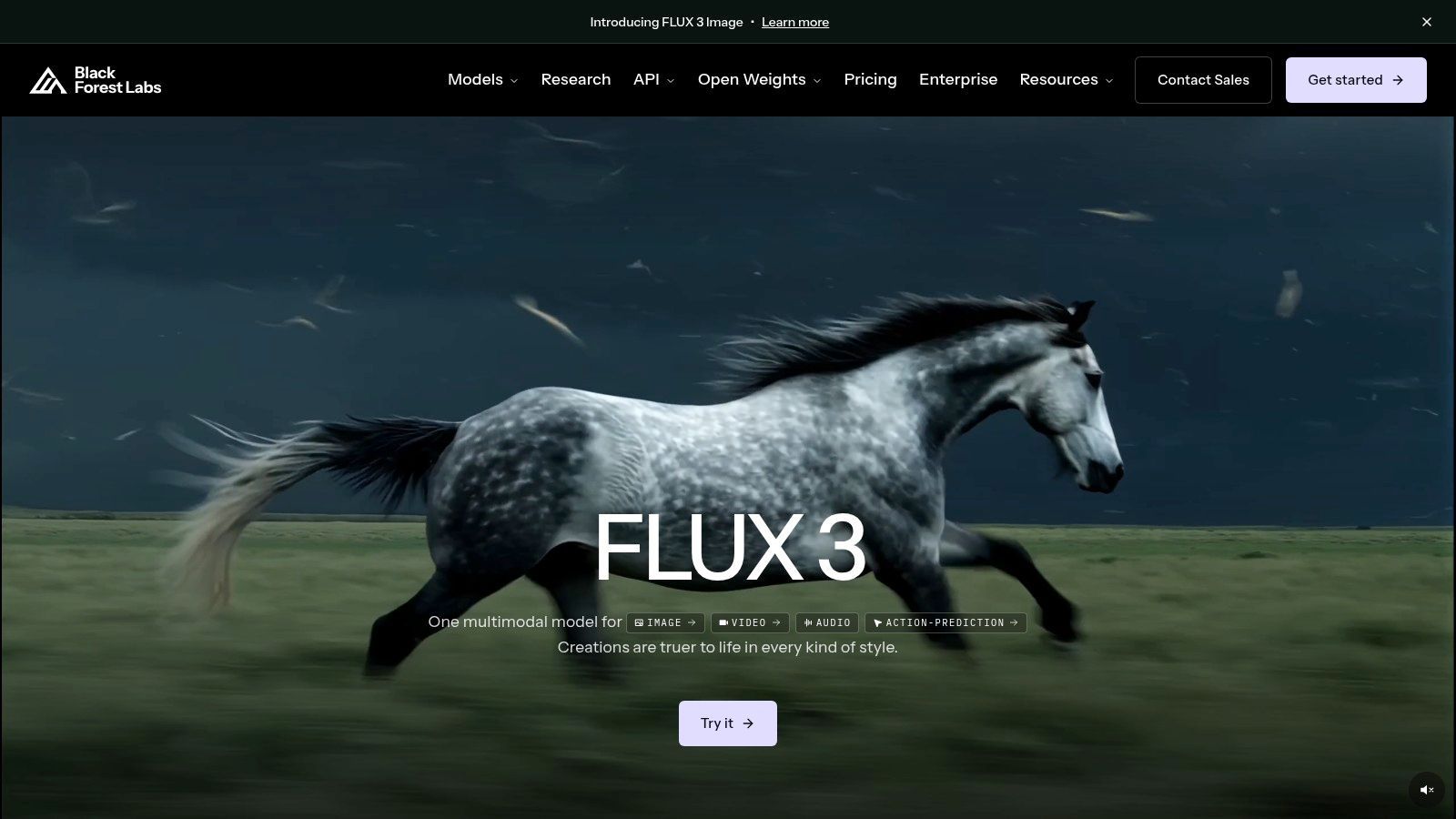 Black Forest Labs FLUX models