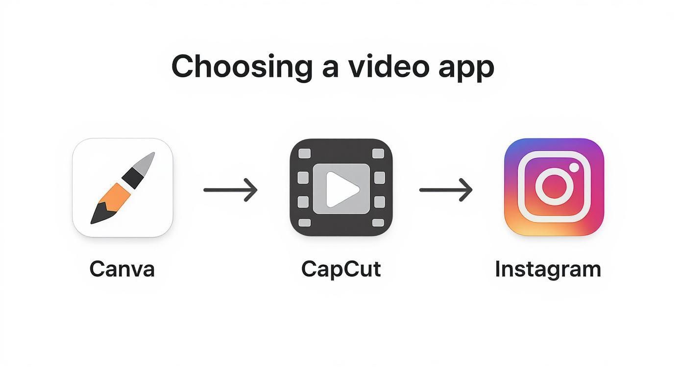 Infographic showing the process flow for choosing a video app, starting with Canva for templates, then CapCut for trends, and Instagram for quick creation.
