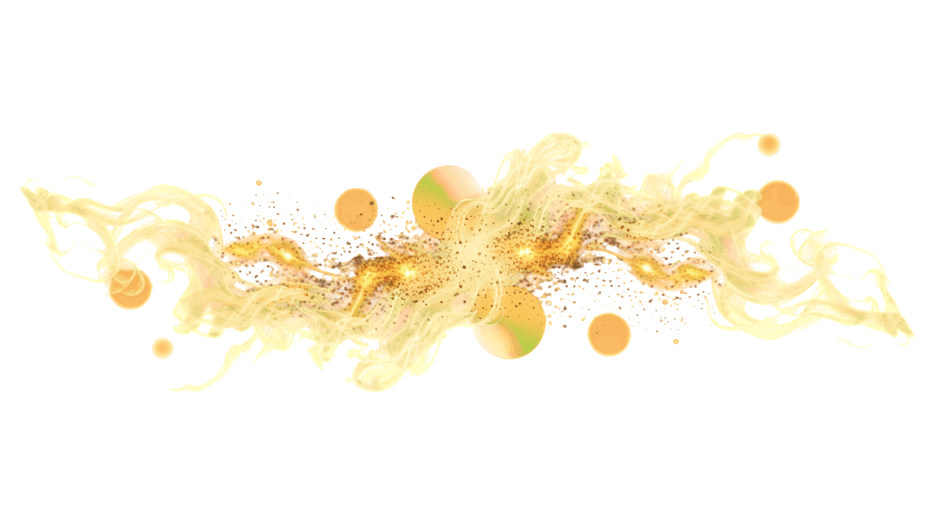 ตัวอย่าง 11